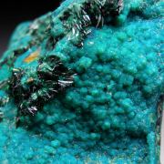 Atacamite on Chrysocolla