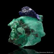 Azurite on chatoyant Malachite