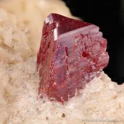 Cinnabar and Quartz on Dolomite (fl)