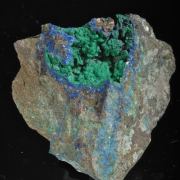 Cornwallite with  Azurite -  classic USA