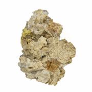 Whiteite