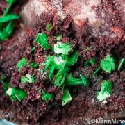 Metatorbernite