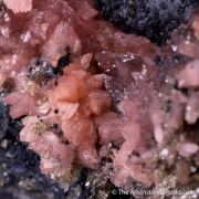 Hureaulite with Rockbridgeite and Jahnsite in Triphylite and Quartz