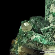 Malachite ps. Azurite on Dolomite (fl) with Cerussite