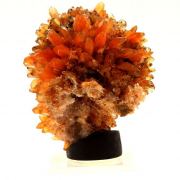 Creedite.
