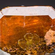 Wulfenite