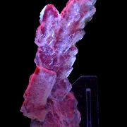 Halite