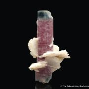 Apatite with Cleavelandite