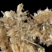 Creedite