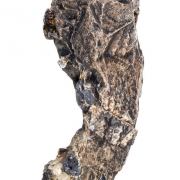 Silver (Crystallized) with Argentite