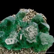 Fluorite on Pyrite