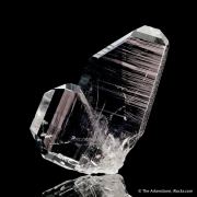 Quartz (Japan Law Twin)