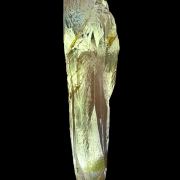 Beryl var. heliodor