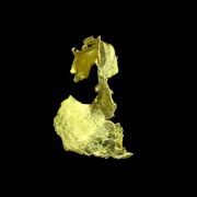 Leaf Gold