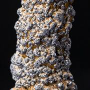 Galena on Calcite stalactite