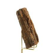 Petrified wood. 300.0 ct.