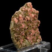 Japanese Rhodochrosite on Pyrite