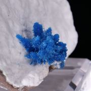 PENTAGONITE - India