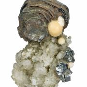 Hematite Rose on Adularia