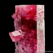 Beryl var. Red Beryl