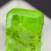 Peridot