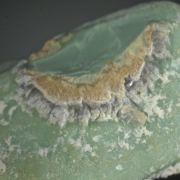 Gordonite (rare Phosphate) on Variscite, type locality