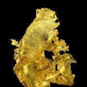 Gold TN!