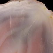Banded Agate