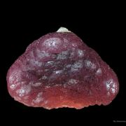 Tourmaline on Schorl