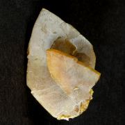 Wulfenite
