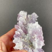 Amethyst / Amethystflower – Irai, Rio Grande do Sul, Brazil