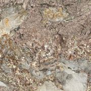 Mejonite  & Calaverite