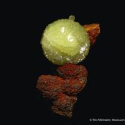 Adamite on Matrix