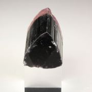 gem bi-terminated TOURMALINE var. ELBAITE multicolor, QUARTZ