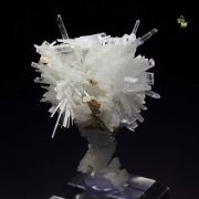 PECTOLITE