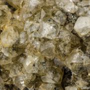 Calcite with Pyrite