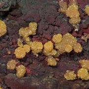 Mimetite, limonite