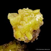 Cerussite var. Chrome-Cerussite