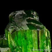 Chrome Tremolite