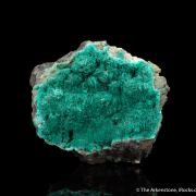 Chalcophyllite (Illustrated)