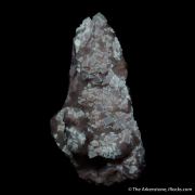 Fluorite with Calcite on jura limestone