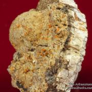 Atencioite (type locality) with Ushkovite on Beryllonite