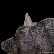 Millerite