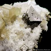 Scheelite, Fluorapatite and Quartz on Pyrite