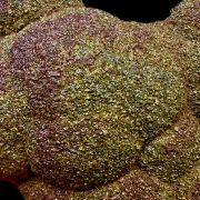 Baryte, marcasite