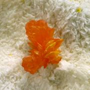 Orpiment, dolomite