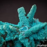 Chrysocolla ps. after Selenite(?)