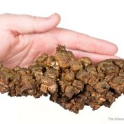 Copper (several generations)