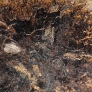 Carbonate-Apatite - var. Dahllite