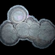 Baryte, marcasite